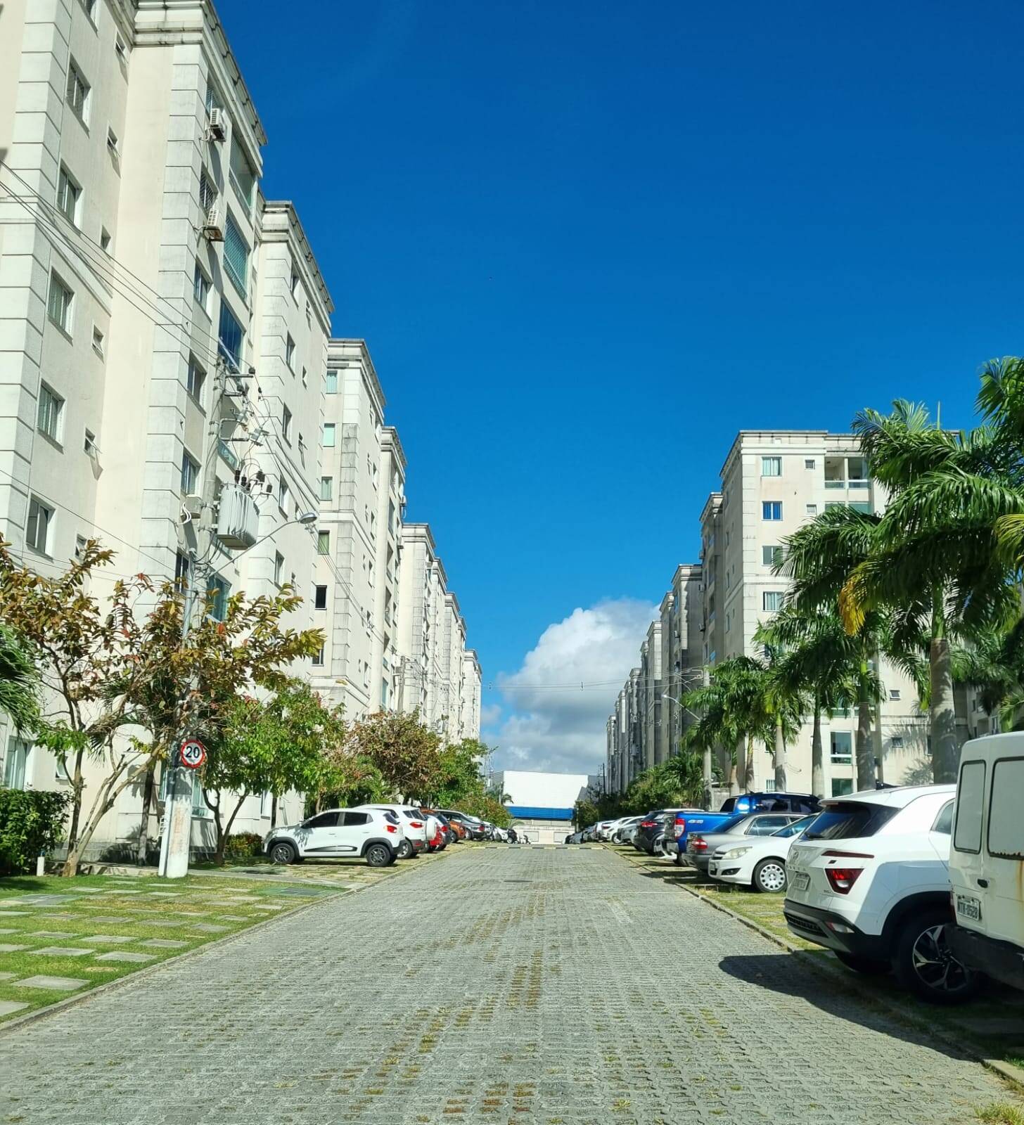 Apartamento à venda com 2 quartos, 45m² - Foto 14