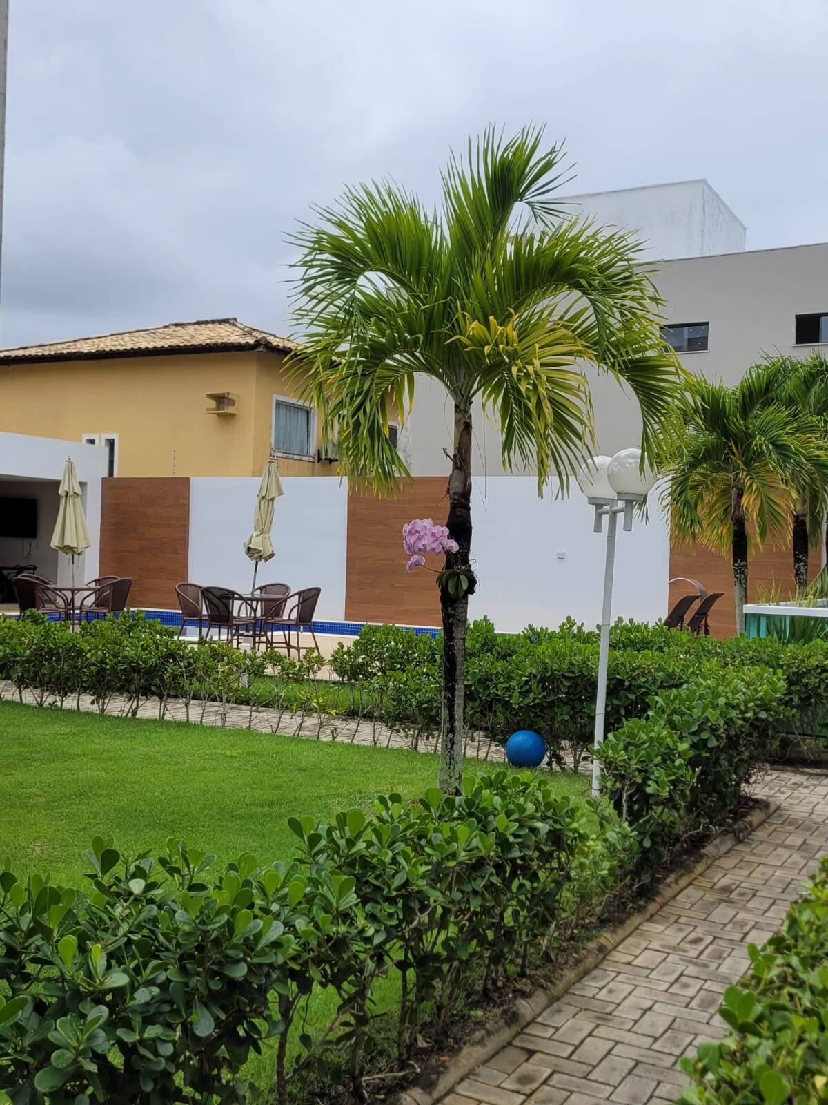Apartamento à venda com 2 quartos, 99m² - Foto 12